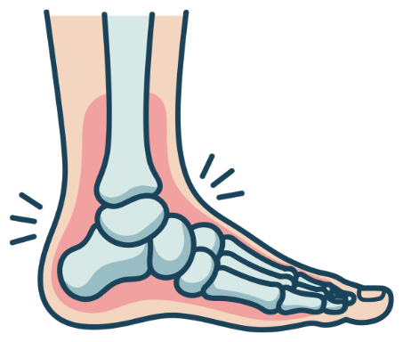Illustration of foot and ankle anatomy